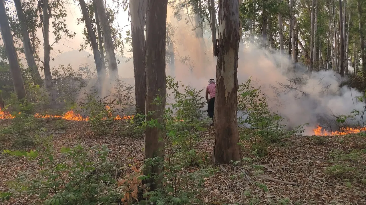 अग्निकांड : सिल्वर हाइट्स के चौथे तल पर लगी आग