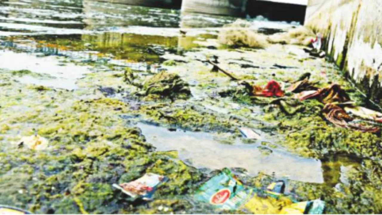 Kanpur: गंगा को प्रदूषित कर रहे अनटैप्ड सीवेज नाले, इन घाटों पर बरती जा रही लापरवाही...जुर्माने के बाद भी समस्या बरकरार