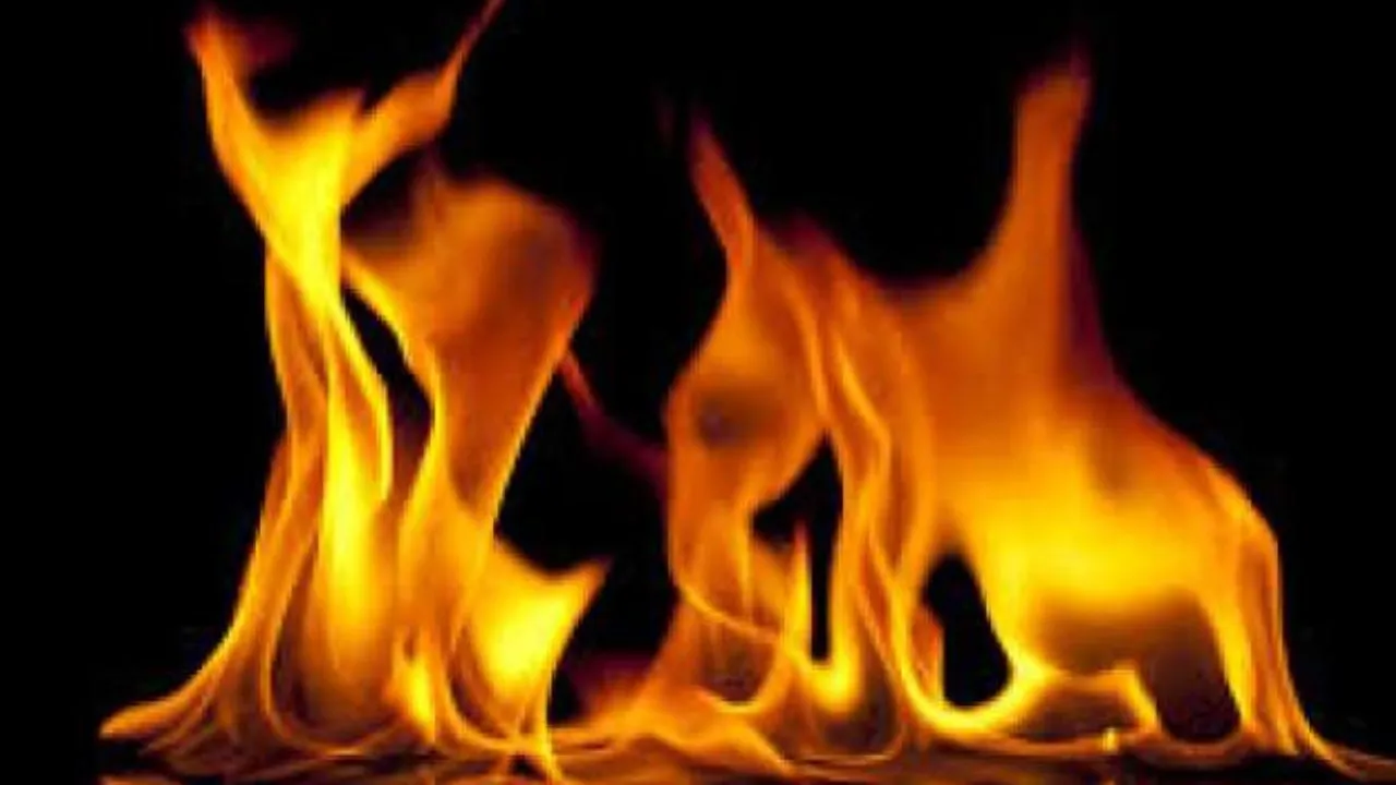 टनकपुर: शरारती तत्वों ने मायावती आश्रम के जंगल में लगाई आग