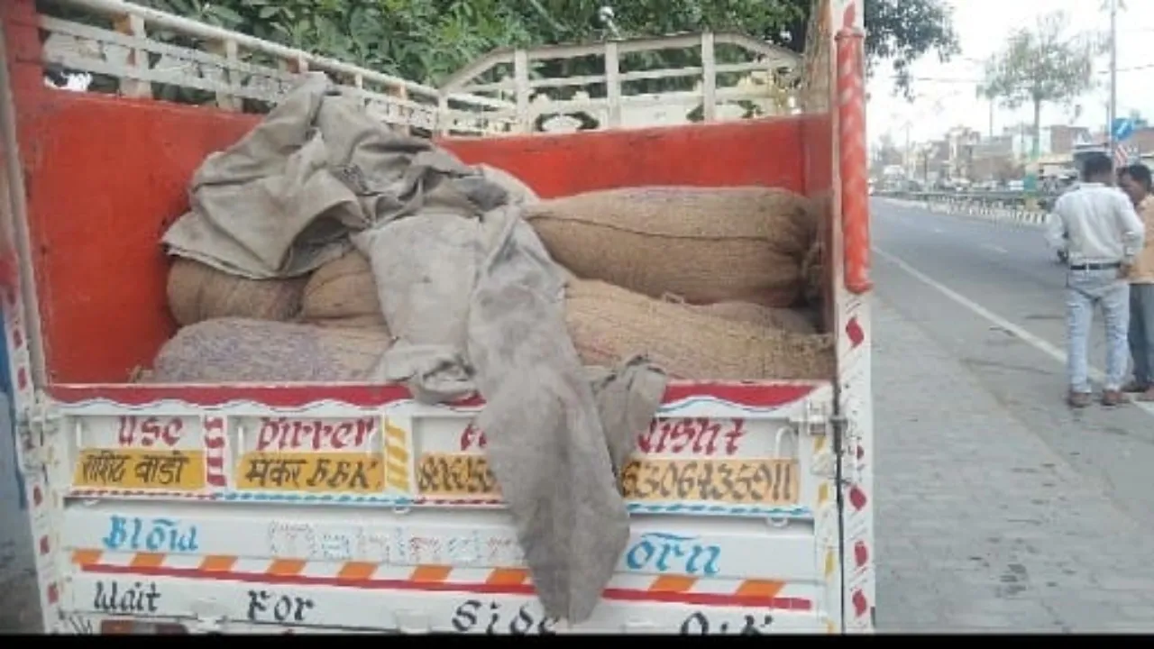बहराइच :  पिकअप से जा रहे सरकारी खाद्यान्न को पुलिस ने पकड़ा