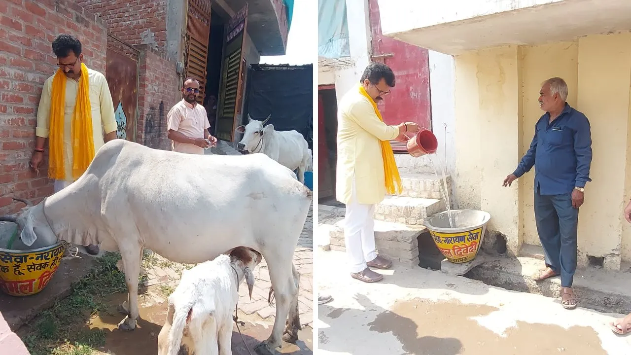 Unnao: नर सेवा-नारायण सेवा ने दो दर्जन स्थानों पर रखवाई नांद, स्थानीय लोग संभालेंगे गोवंशियों को पानी मुहैया कराने की जिम्मेदारी