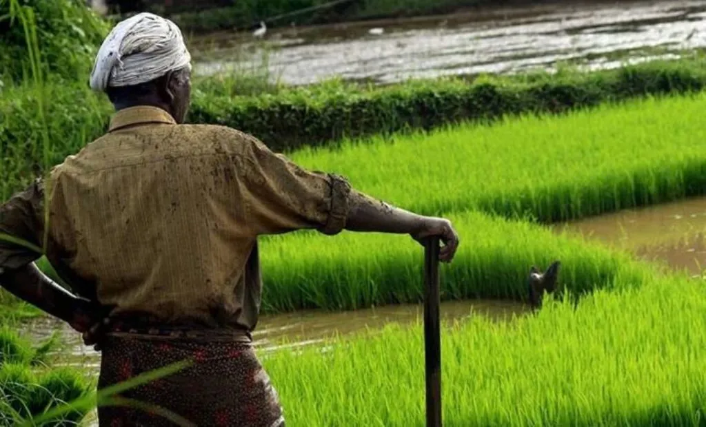 Bareilly News: तकनीकी पेच फंसने से 17 गांवों में रियल टाइम खतौनी तैयार करने की प्रक्रिया लटकी