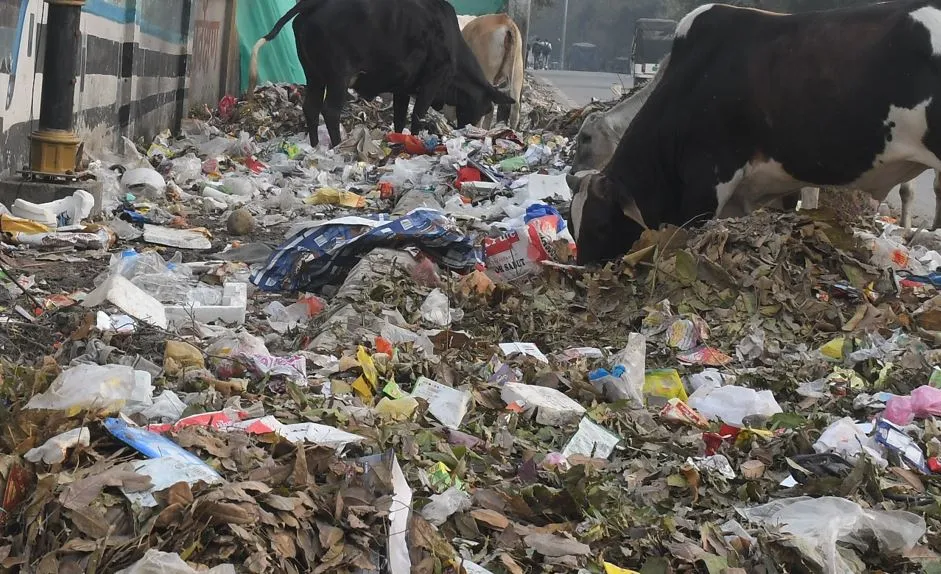 Bareilly News: शहर में दो दिन से नहीं उठा नौ सौ मीट्रिक टन कूड़ा, चुनाव ड्यूटी में लगे नगर निगम के कर्मचारी आज भी नहीं लौटे काम पर