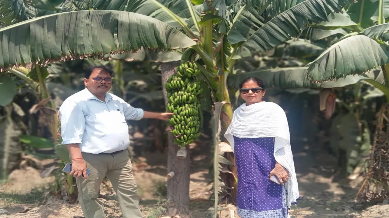  बाराबंकी : उद्यान विभाग की योजनाओं का उपनिदेशक ने किया निरीक्षण