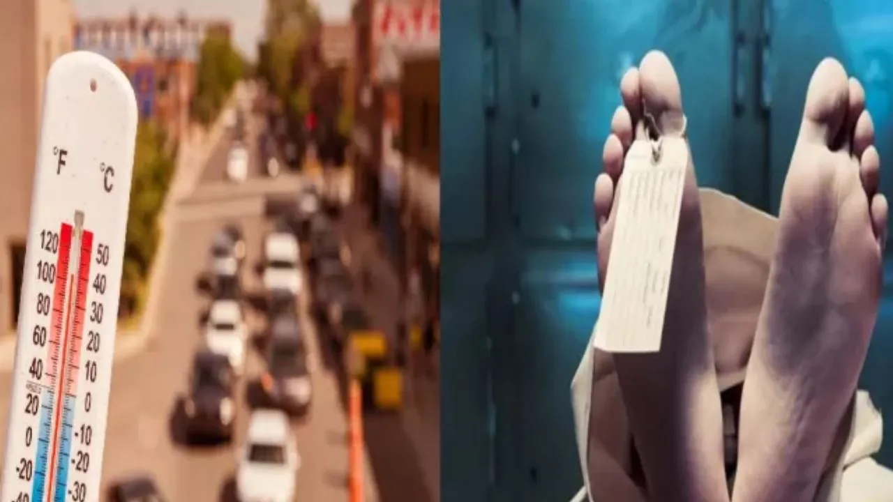 लू और हीटस्ट्रोक से कानपुर में 13 लोगों की मौत, सड़कों पर यहां-वहां पड़े मिले कई शव, कुछ की हुई शिनाख्त