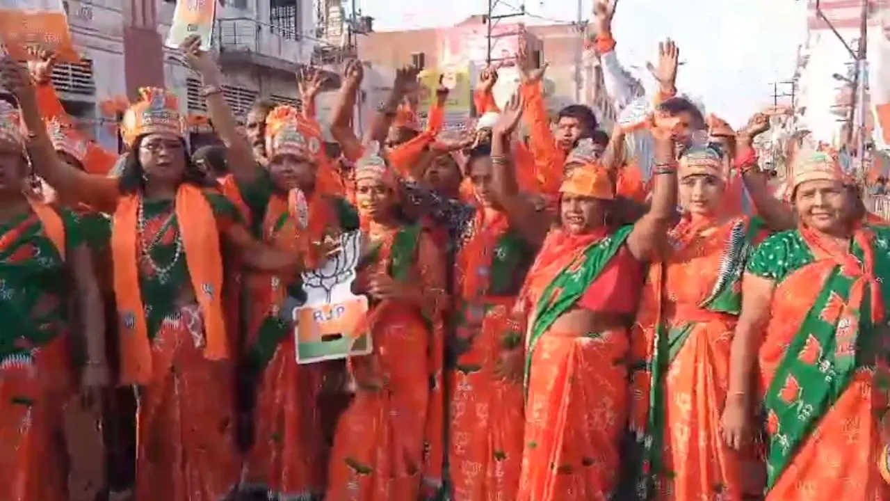 बीजेपी (3)