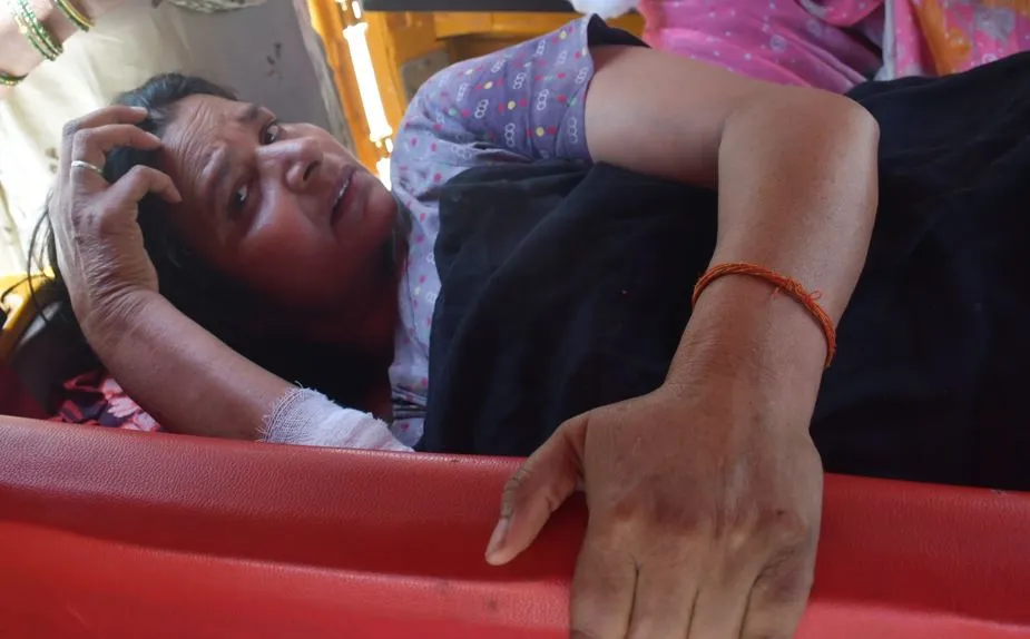 Bareilly News: जंगली सुअर ने महिला पर किया हमला, कई जगह काटा