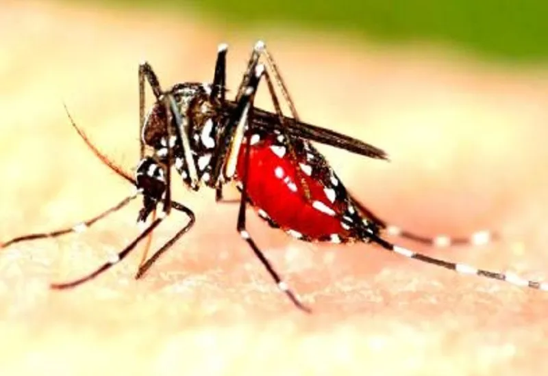 रामपुर : मोबाइल पर देख सकेंगे इन बीमारियों की ऑनलाइन रिपोर्ट, स्वास्थ्य विभाग ने की विशेष पहल