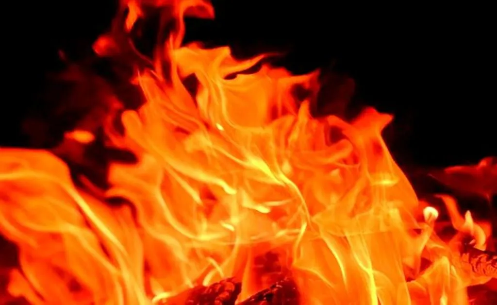 Bareilly News: अधिवक्ता के चैंबर में बड़े भाई ने लगाई आग, फाइलें जलीं