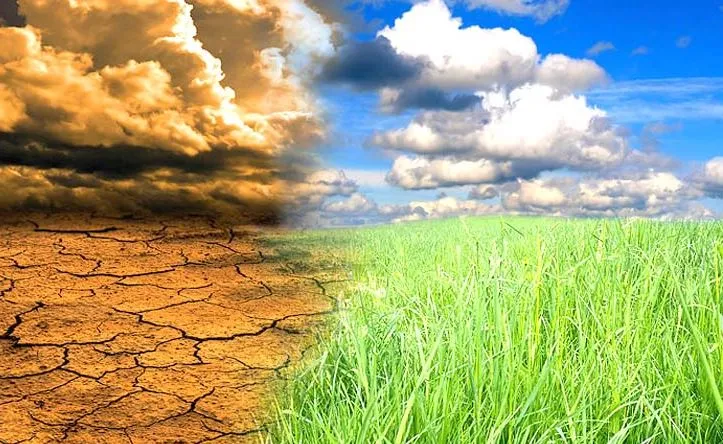 जलवायु परिवर्तन से मस्तिष्क संबंधी समस्याओं से पीड़ित लोगों पर असर पड़ने की आशंका, शोध में यह बात आई सामने