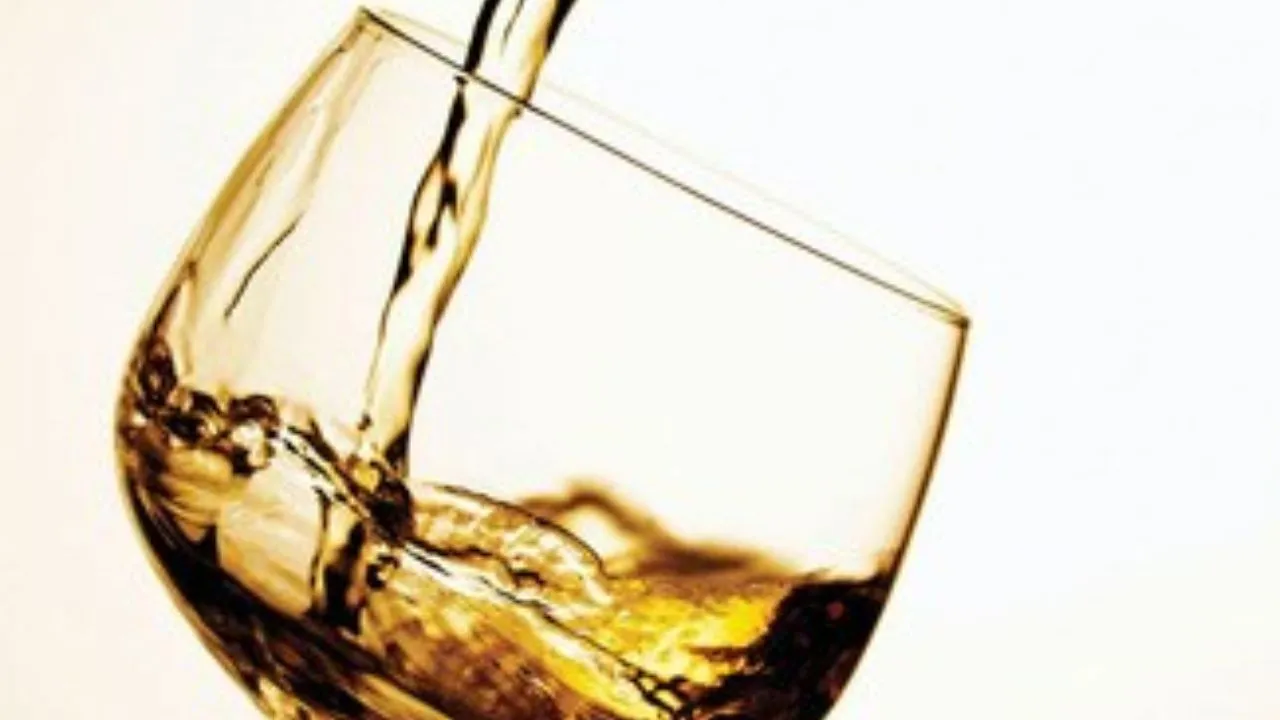 Kanpur News: नशे में युवती का हाईवोल्टेज ड्रामा...पुलिसकर्मियों से की अभ्रदता, देखने वाली की जुटी भीड़