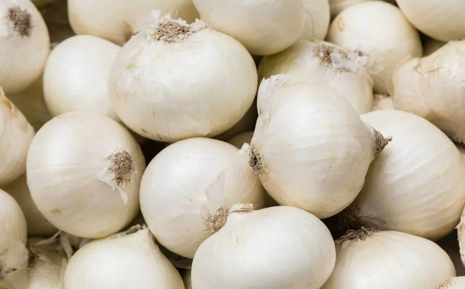 सफेद प्याज सेहत के लिए है बेहद फायदेमंद, यहां जानें इसे खाने के फायदे 