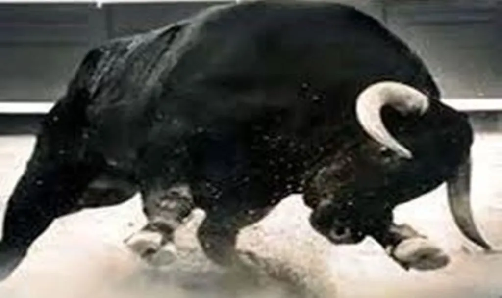 शाहजहांपुर: मां के साथ खेत पर गई छात्रा को सांड ने पटककर मार डाला, परिजनों का रो-रोकर बुरा हाल