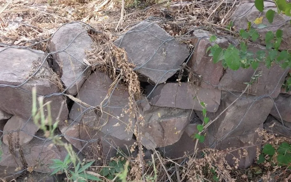 कासगंज: सपा के राष्ट्रीय प्रवक्ता ने सिंचाई विभाग के अधिकारियों से की मांग, कटानरोधी कार्यों के लिए अभी से दिखाई जाए गंभीरता