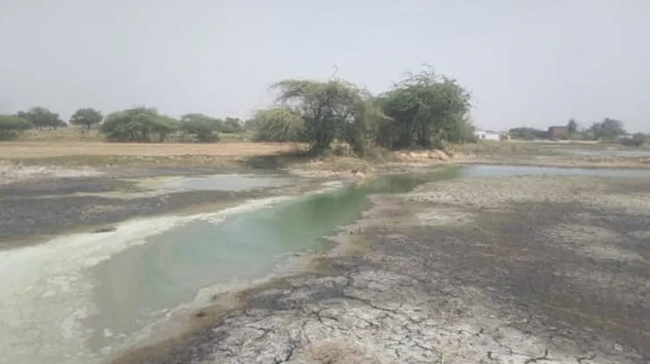 बरेली: जिस IFFCO पर खेती संवारने का जिम्मा, उसी के पानी से बंजर हो रही जमीन 