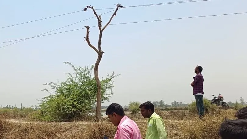 बिजली विभाग का कारनामा: लखीमपुर खीरी में पेड़ की टहनियों के सहारे बिछा दी मौत की लाइन, चली गई बुजुर्ग की जान