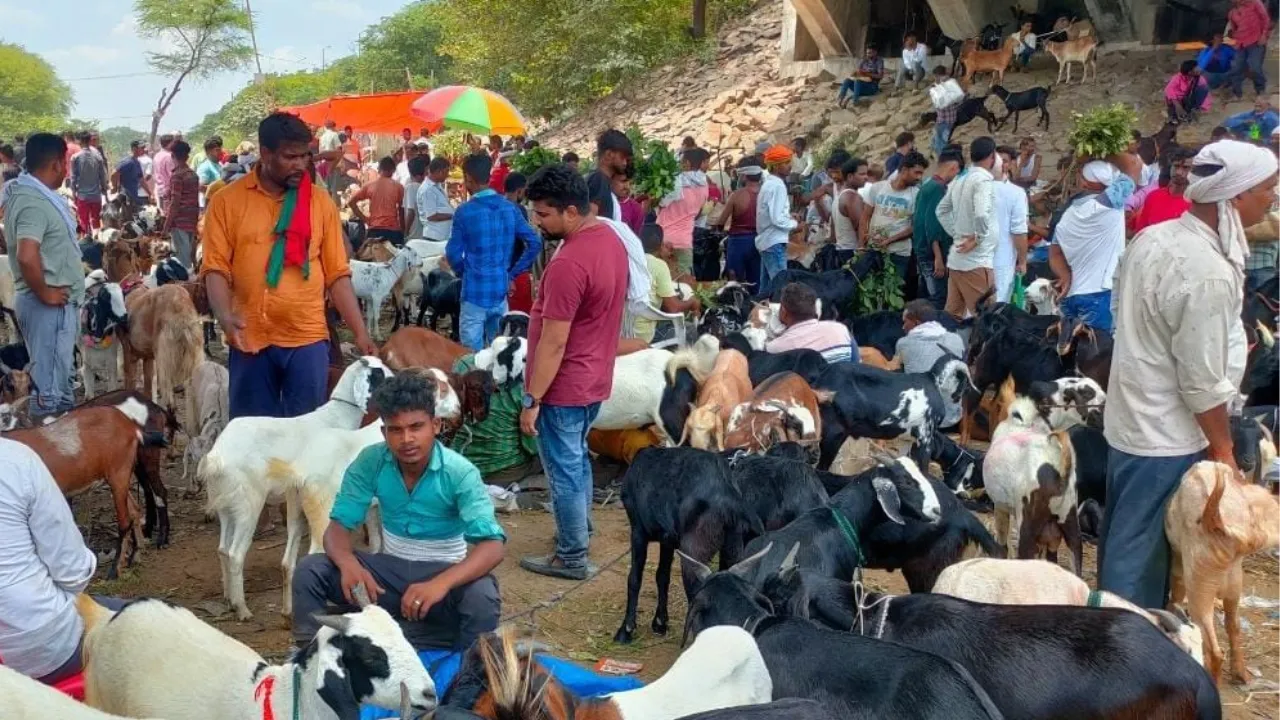 सीएम योगी एक फरमान, अगर सड़कों पर हुई नमाज तो खैर नहीं, आखिर क्या है आदेश