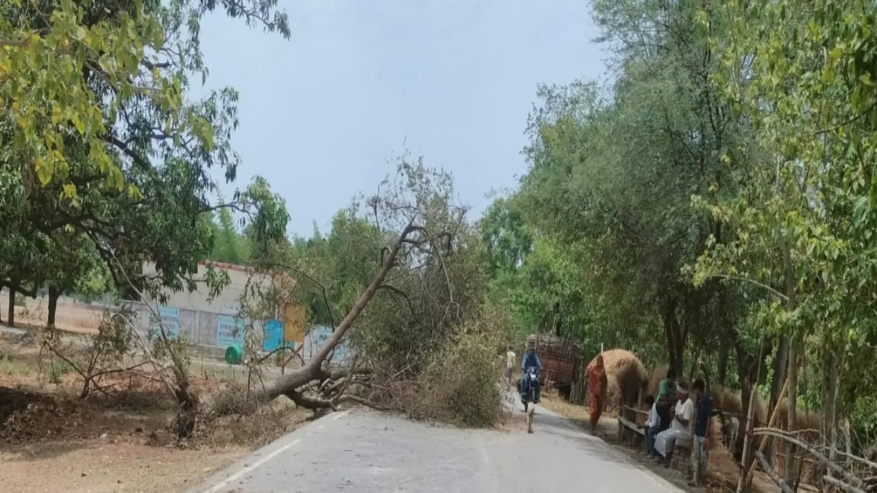 श्रावस्ती में बदला मौसम, बारिश ने दिलाई भीषण गर्मी से थोड़ी राहत 