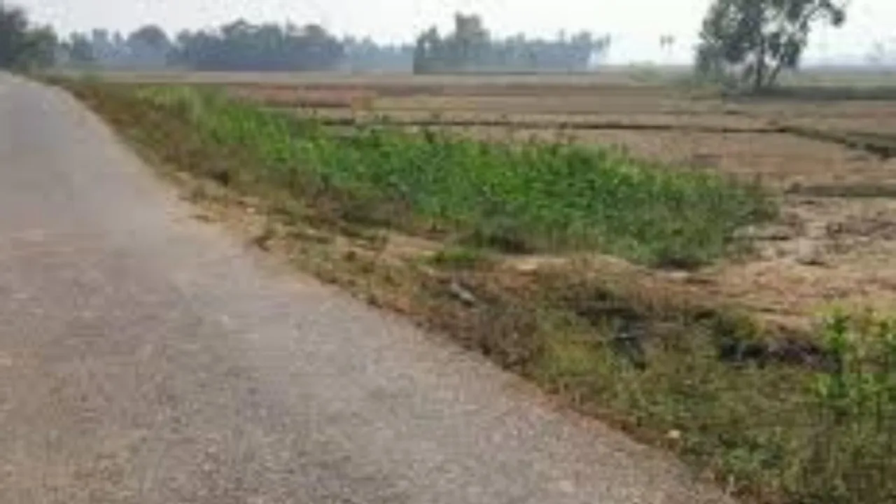बाराबंकी: किसके नाम नोटिस भेजूं, भू-माफियाआों का पता नहीं