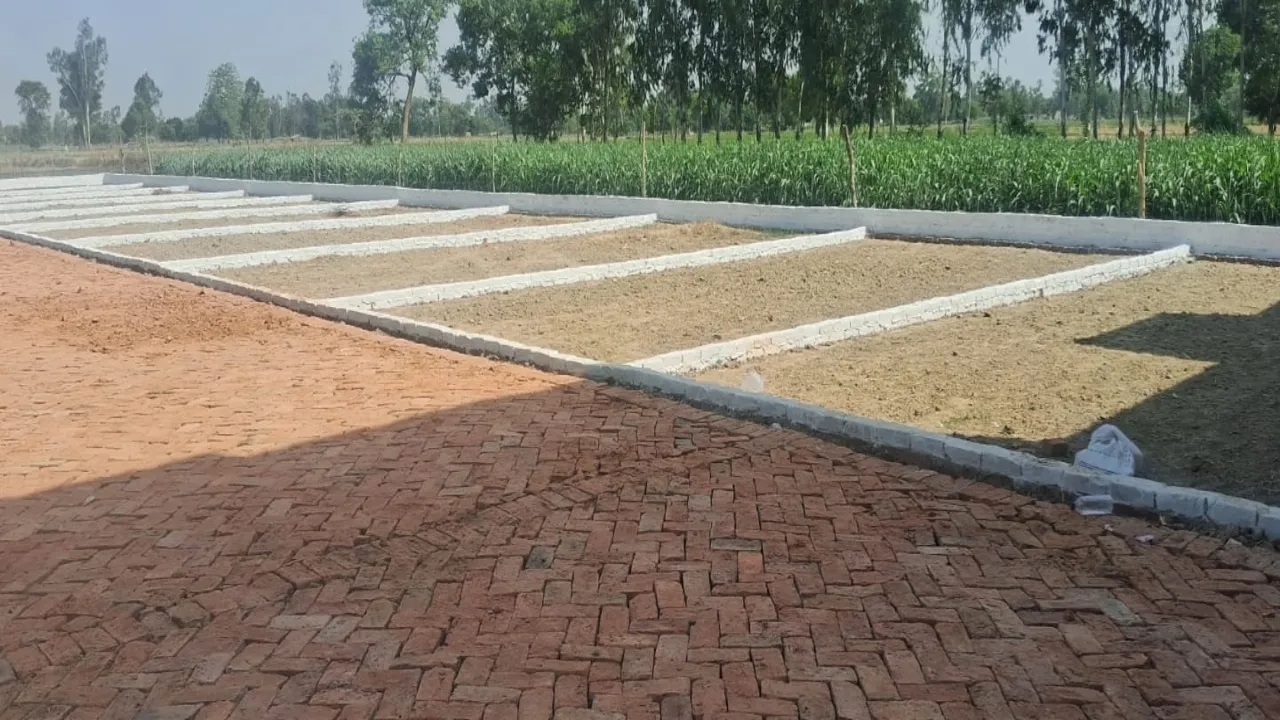 भूमाफियाओं के हौसले बुलंद, तेजी से फल-फूल रहा है अवैध प्लाटिंग का काला कारोबार, अधिकारी नहीं कर रहे कार्रवाई