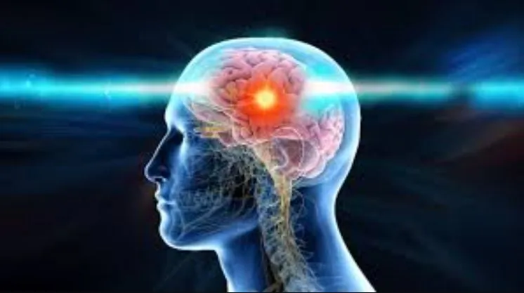 नए अध्ययन में पता चला कि मस्तिष्क कैसे करता है परिणामों की कल्पना 
