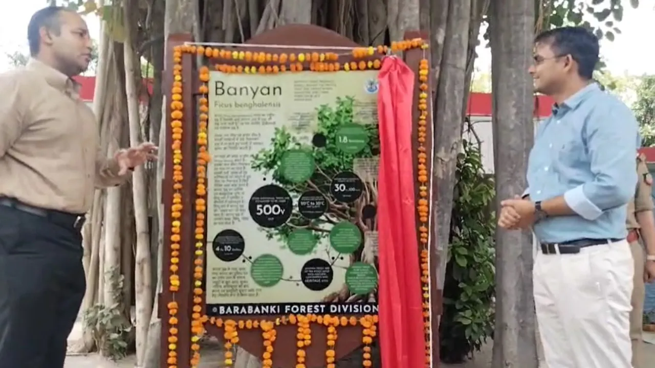 विश्व पर्यावरण दिवस: 30 साल से ऊपर के वृक्षों पर लगेगा क्यूआर कोड, बाराबंकी डीएम की मुहिम