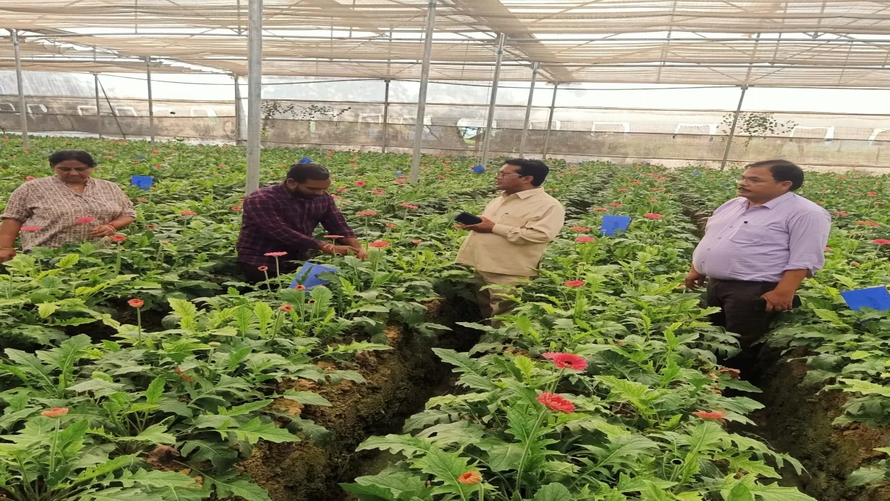 औद्यानिक खेती में प्रदेश ही नहीं देश में भी जिले के किसान कर रहे हैं नाम रोशन :निदेशक