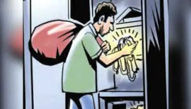 कासगंज: ललकारने पर चोरों ने गृहस्वामी पर जान से मारने की नियत से झोंका फायर 