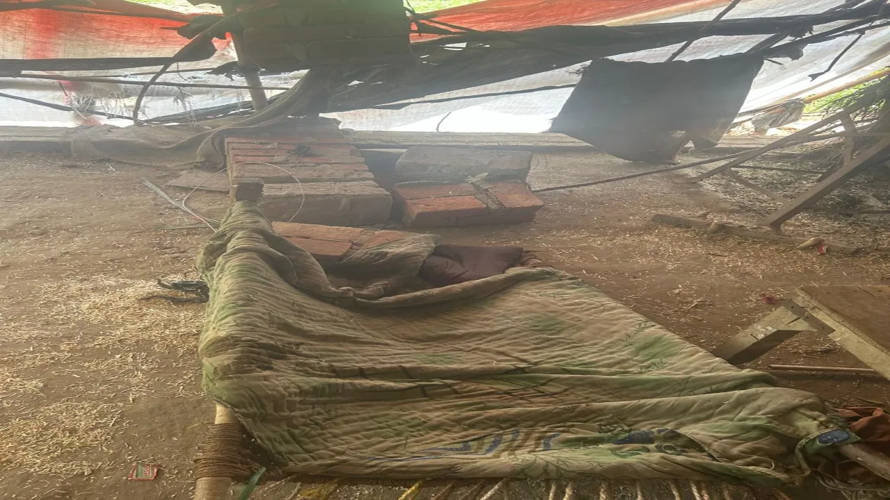 17 - 2024-06-06T191734.308