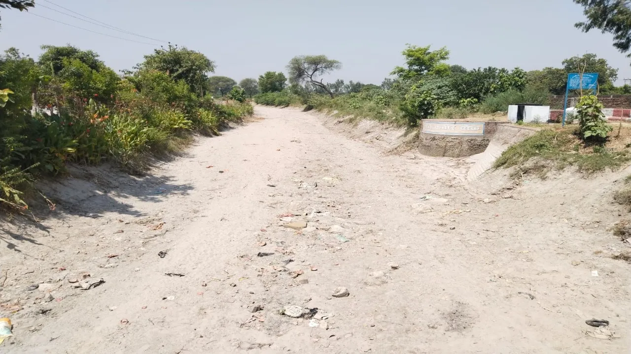 बाराबंकी: पानी न मिलने से सूख रहे नहरों के कंठ, बेहाल हो रहे किसान