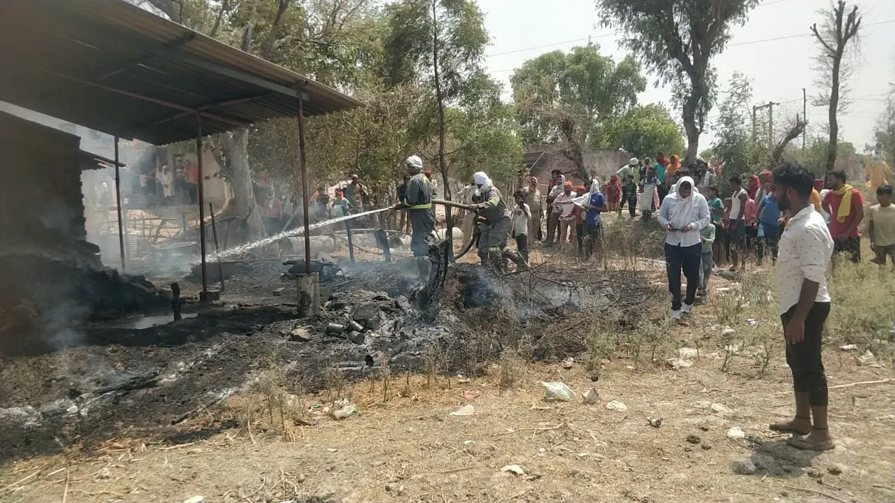 प्रयागराज: गौशाला में लगी आग, झूलसने से तीन मवेशियों की मौत, दो गंभीर