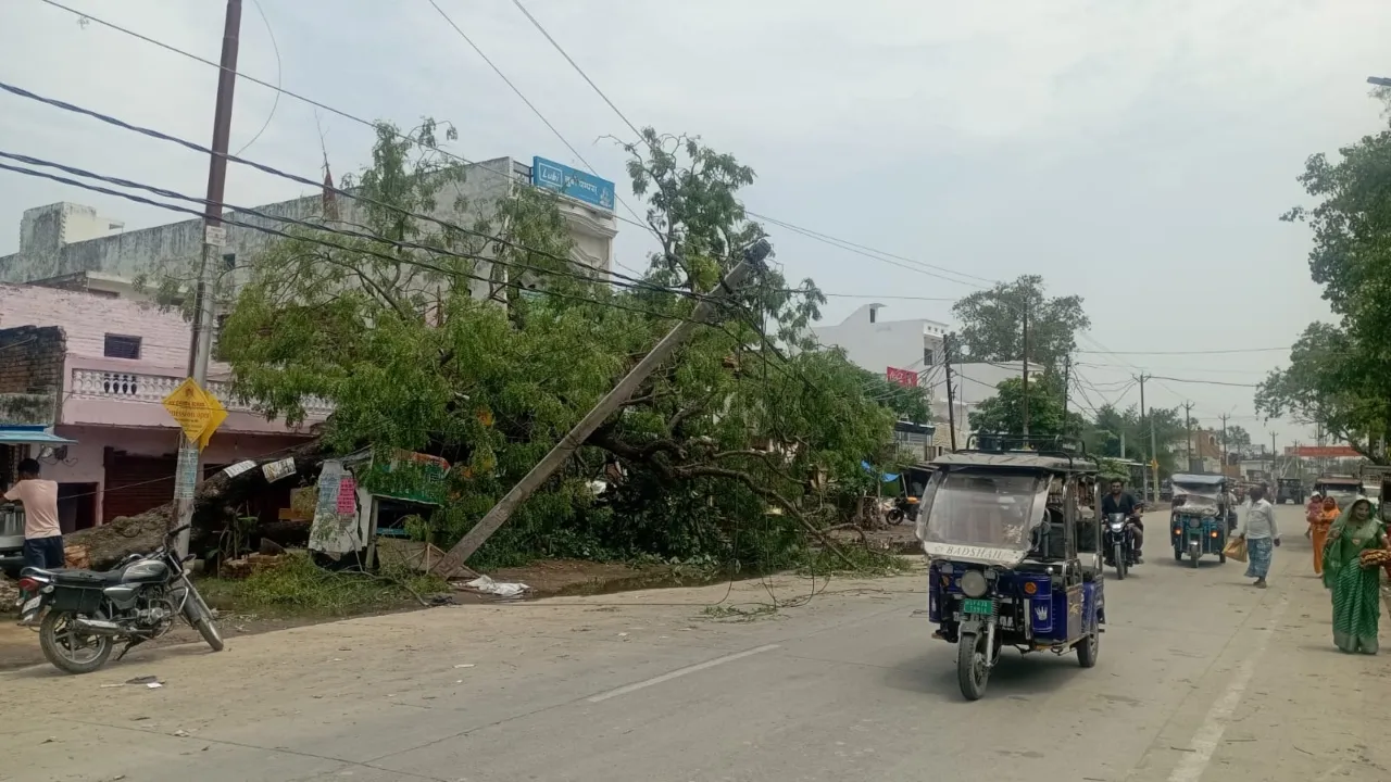 आंधी पानी ने उड़ाई कई इलाकों की बिजली, धानेपुर की एचटी लाइन पर पेड़ गिरने से आपूर्ति ठप 