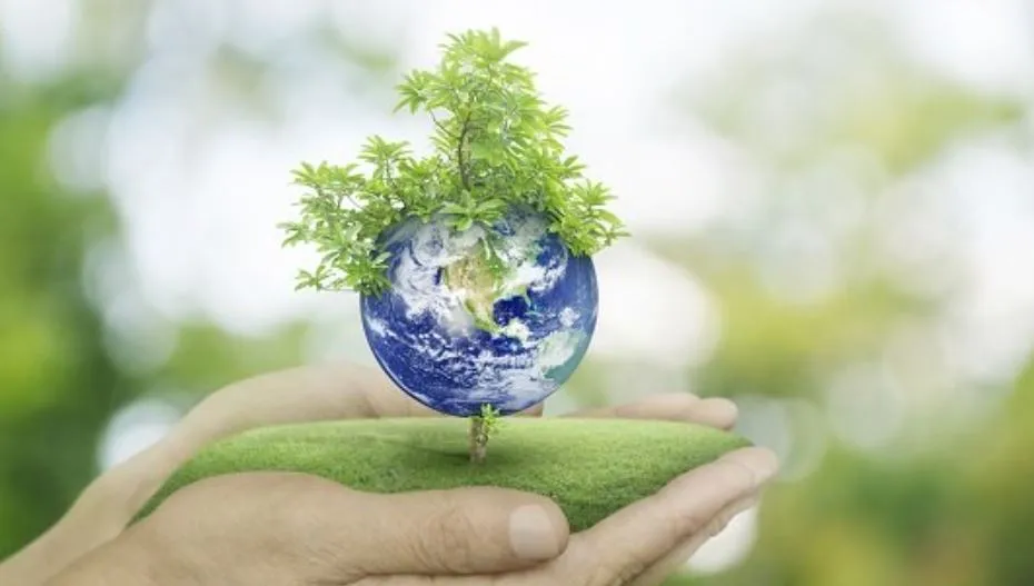 पर्यावरणीय जोखिम