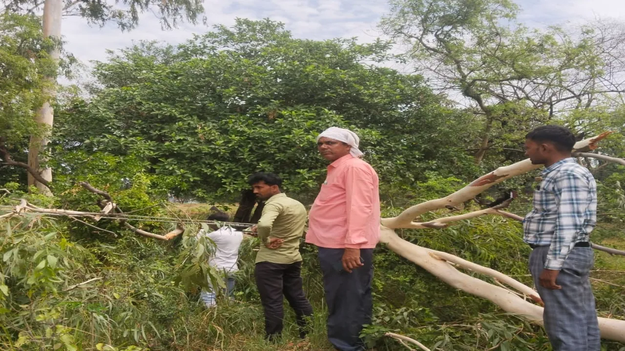 7 - 2024-06-06T180450.853