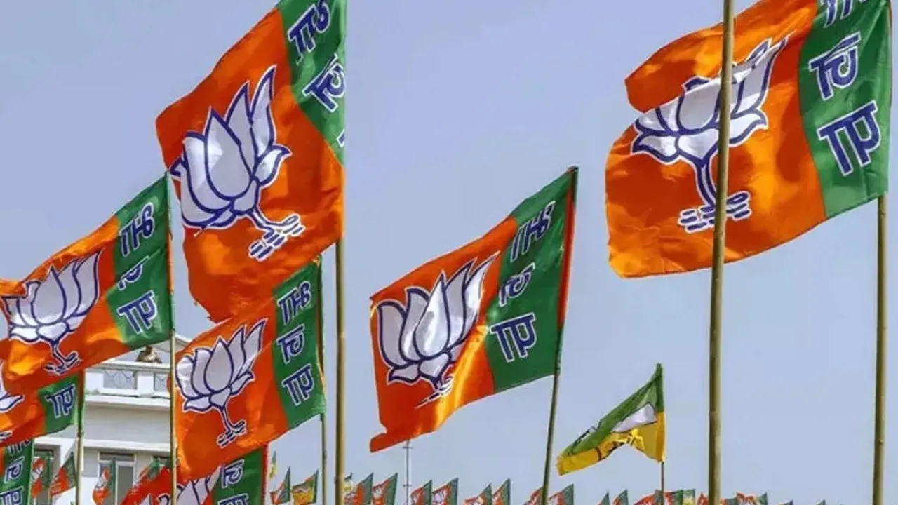 लोकसभा चुनाव 2024: यहां तो भाजपा के कई नेता नहीं जिता सके अपने गांव, नतीजों के बाद खुला मामला