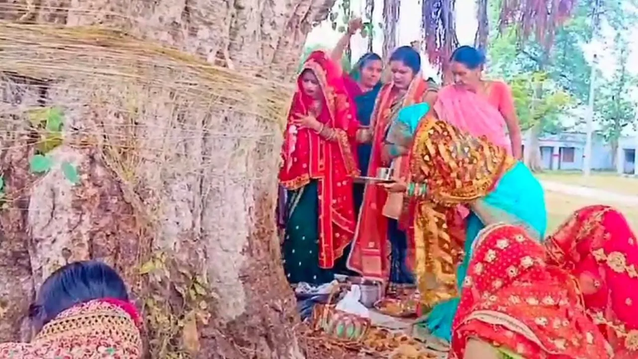 गोंडा: वटवृक्ष की पूजा कर सुहागिनों ने मांगा अखंड सौभाग्य का वरदान, देखें वीडियो