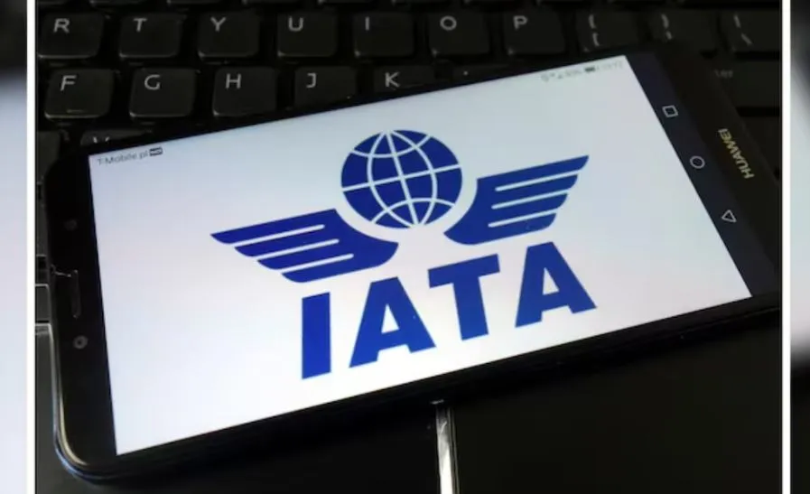 IATA की अगली सालाना बैठक अगले साल दिल्ली में होगी, IndiGo करेगी मेजबानी