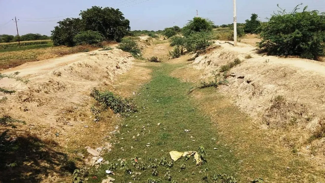 Kannauj: नहर को 22 हेक्टेयर जमीन और पांच करोड़ की दरकार, वन विभाग से एनओसी लेकिन किसानों के 13 मामले अभी भी लंबित