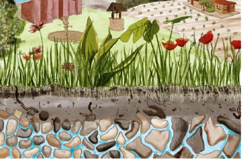 हल्द्वानी: सरकारी संस्थानों व स्कूलों के रिचार्ज पिट बढ़ाएंगे शहर का भूमिगत जलस्तर