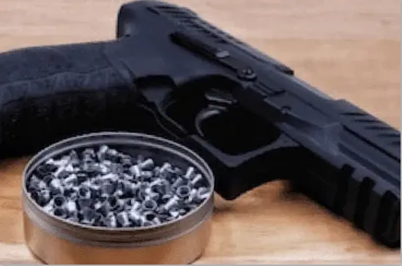 नैनीताल: जब लावारिस बैग में एयर गन देख होमगार्ड समझा पिस्टल...