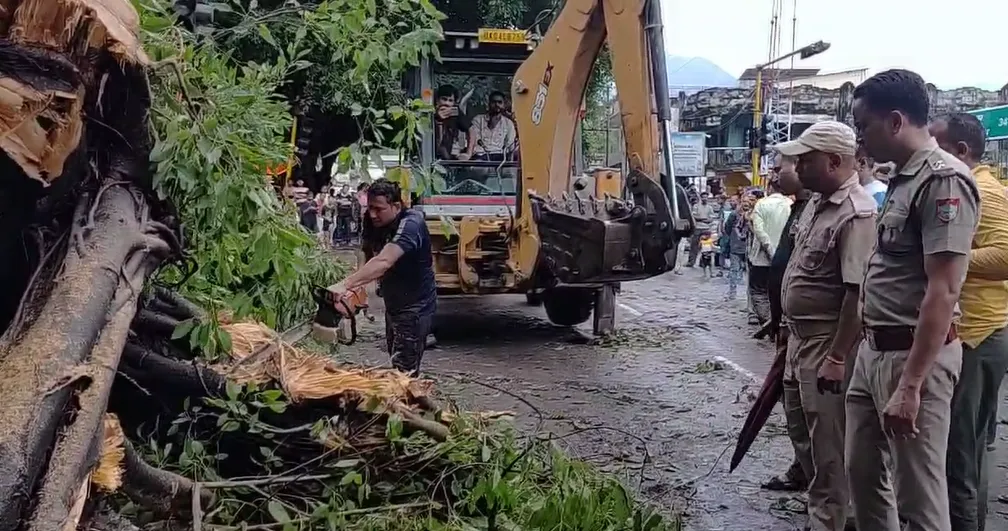 हल्द्वानी: काठगोदाम में पेड़ गिरा, कांग्रेस के प्रदेश प्रवक्ता ने दी तहरीर