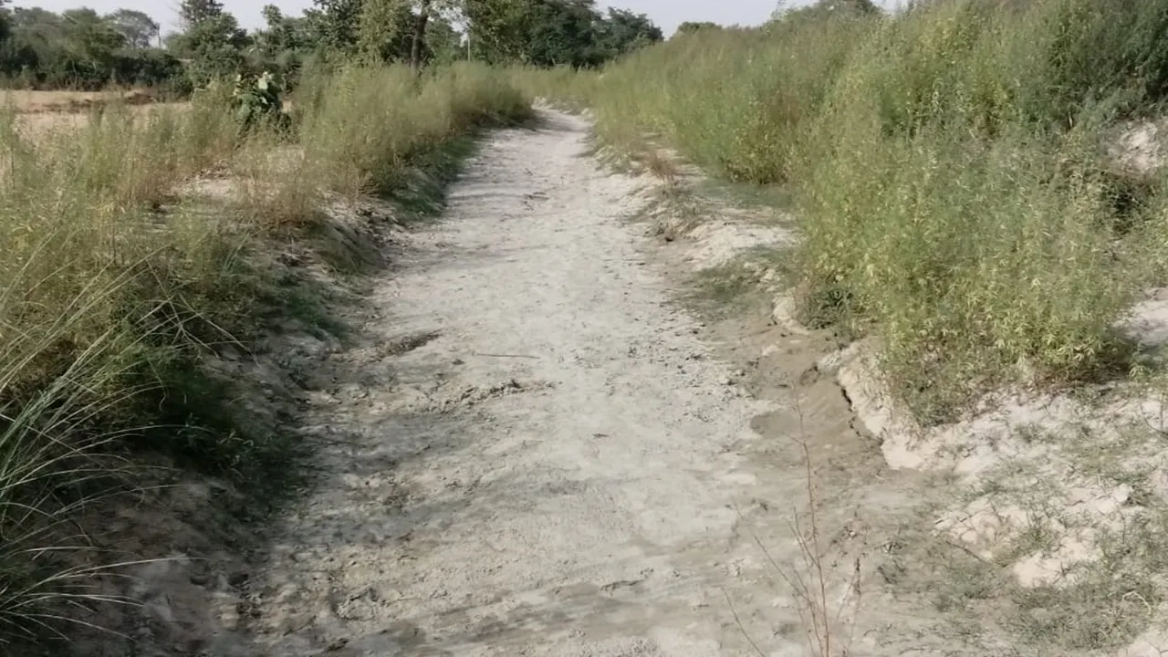अयोध्या: सूखी नहरें, बेहाल किसान, जिम्मेदार बेखबर, अमृत विचार की पड़ताल में दिखी भयावह तस्वीर
