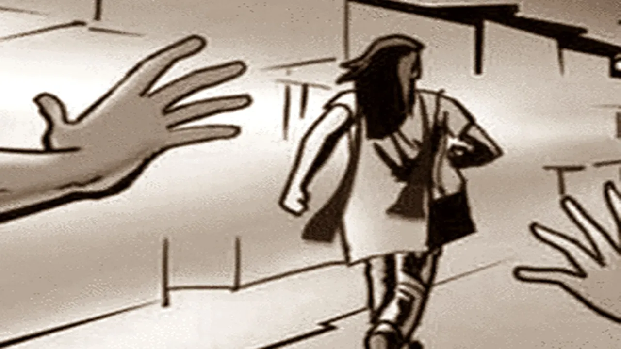 नोएडा: कंपनी से निकाले गए दो युवकों ने महिला एचआर हेड से की छेड़छाड़ 