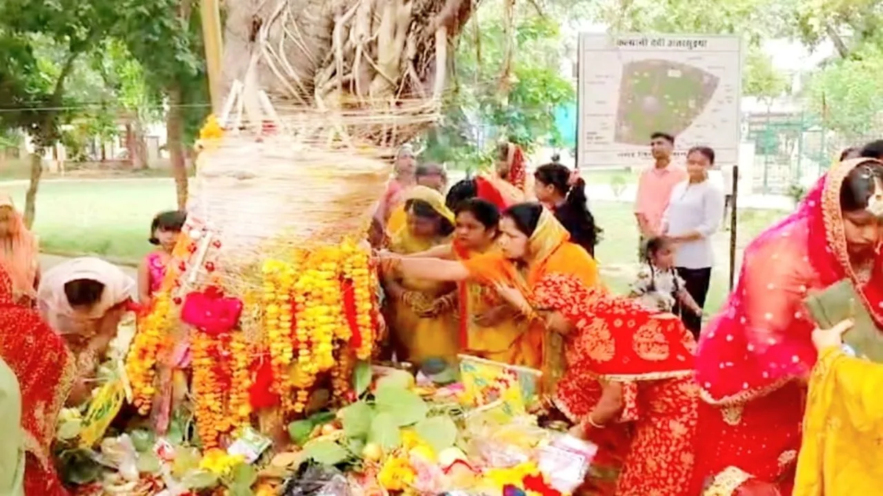 प्रयागराज: सुहागिनों ने की वट सावित्री की पूजा, पति की दीर्घायु की कामना के लिए महिलाओं ने रखा व्रत 