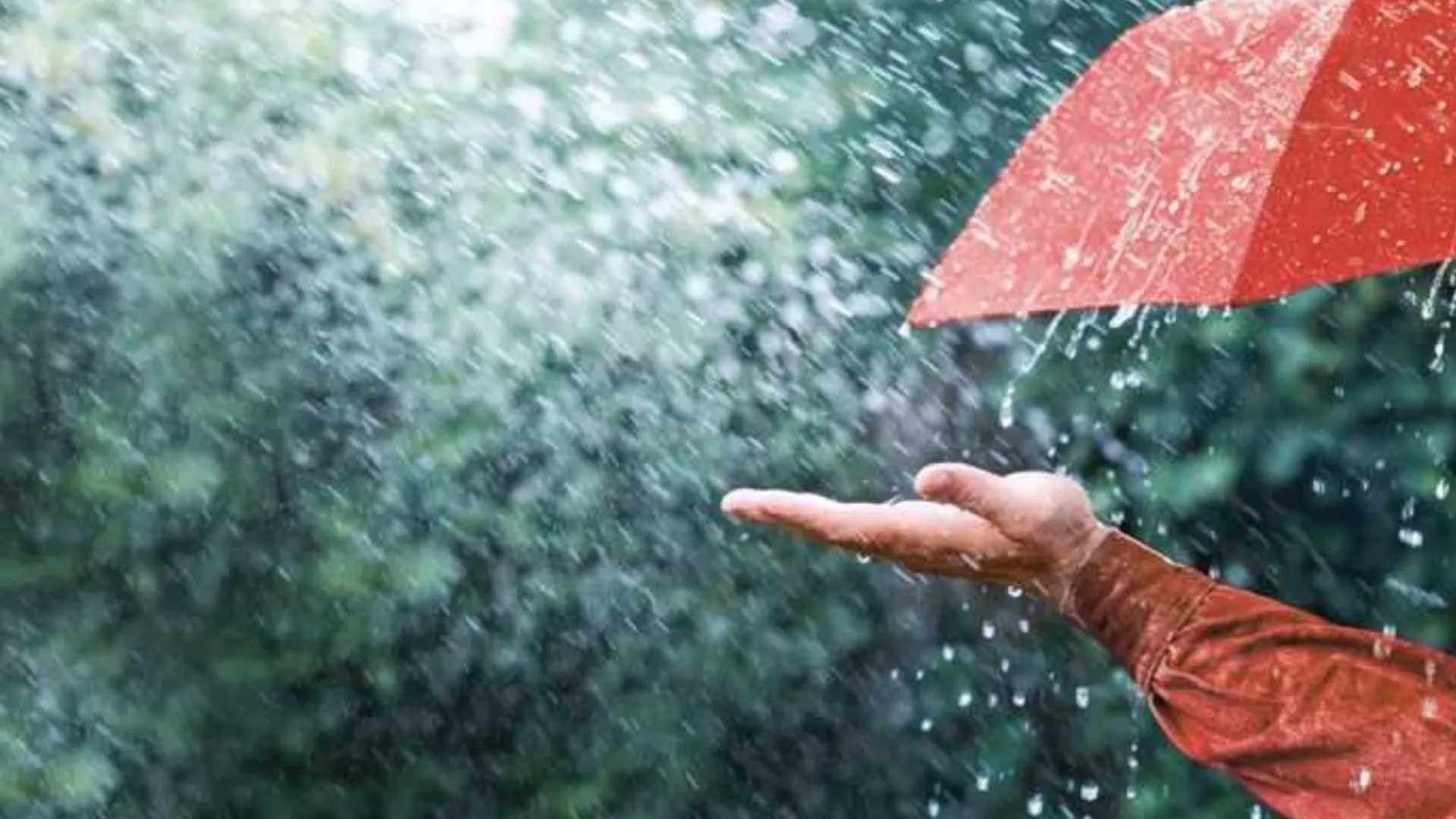 बरेली: और गिरा पारा,  अगले तीन दिन बूंदाबांदी होने के आसार...गर्मी से मिल सकती है राहत 