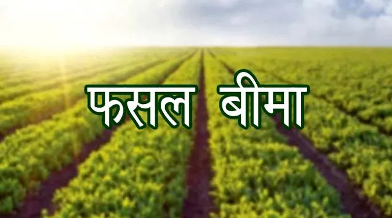 हल्द्वानी: फसल बीमा राशि के लिए कंपनी और विभाग के चक्कर काट रहे किसान