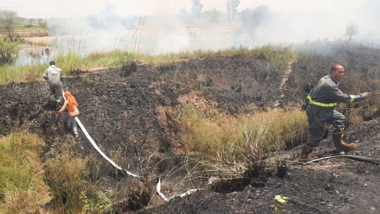 Unnao News: ट्रैक के किनारे लगी आग, वंदे भारत समेत रूकी ट्रेनें...डेढ़ घंटे का तक प्रभावित रहा डाउन लाइन का संचालन