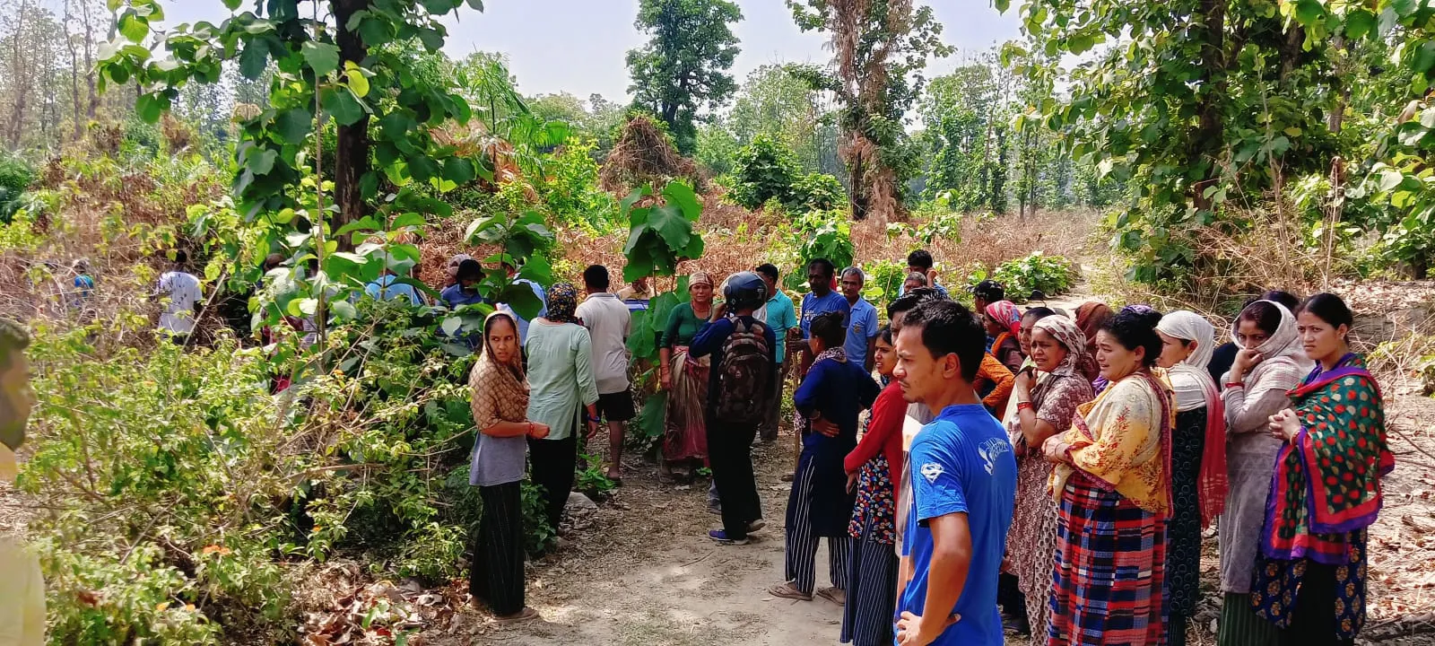 खटीमा: बाघ ने हमला कर साइकिल सवार वृद्ध को बनाया निवाला