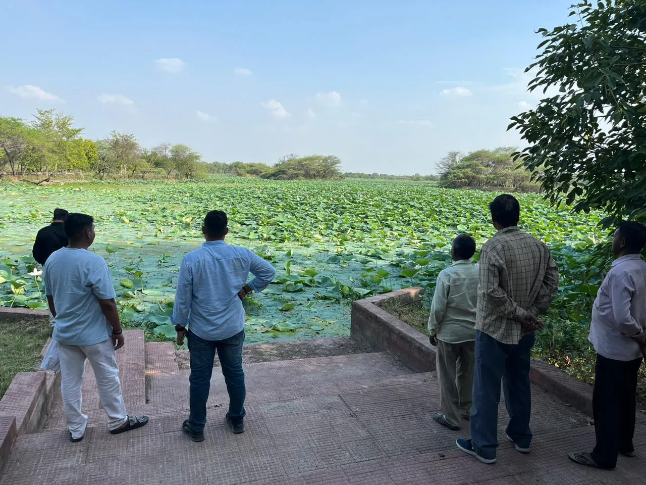 Unnao: गणना में वन विभाग को मिले 12 सारस राज्य पक्षी... प्रदेश सरकार ने दो दिवस में गणना करने के दिये थे निर्देश