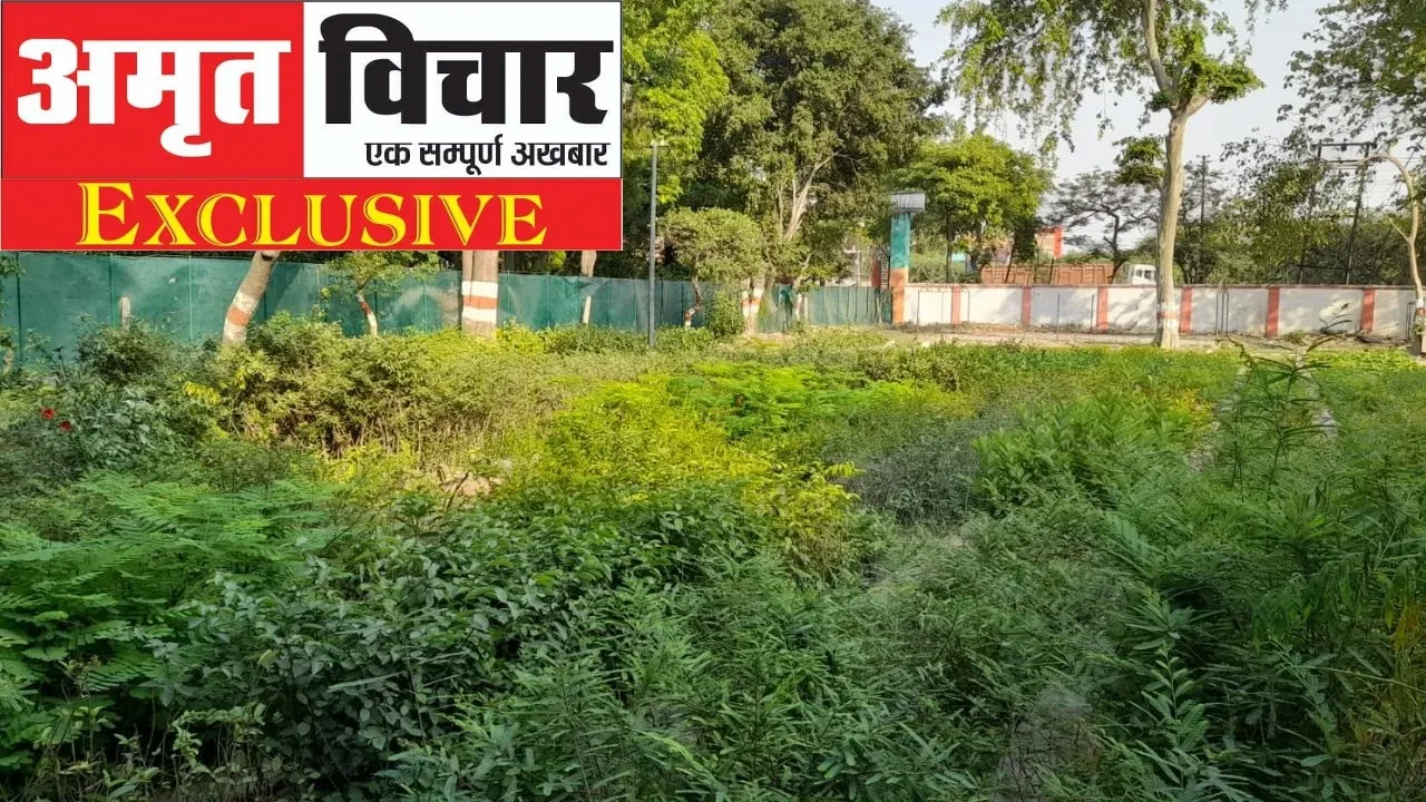 Exclusive: Unnao में वन कुलदेवी और देवताओं के नाम से पौधे लगायेगा वन विभाग...इस बार जिले मे इतने लाख पौधे लगाने का लक्ष्य